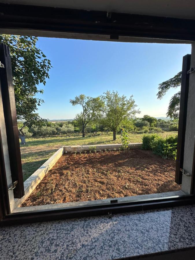 Relax And Unwind: Family-Friendly House Near Zadar In Zagrad Villa Ngoại thất bức ảnh